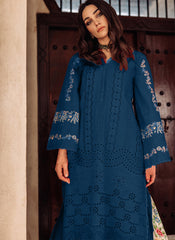 Blue Heavy Cotton Pakistani Style Suit