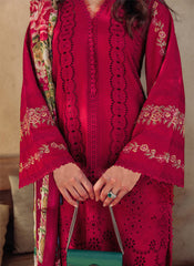 Blood Red Heavy Cotton Pakistani Style Suit