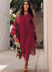 Blood Red Heavy Cotton Pakistani Style Suit