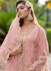 Baby Pink Ready to Wear Organza Pakistani Style Suit
